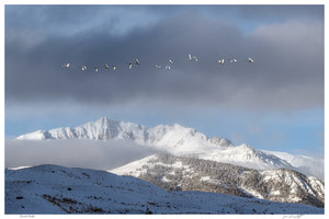 Druid Peak