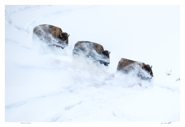 The Ghosts of Winter