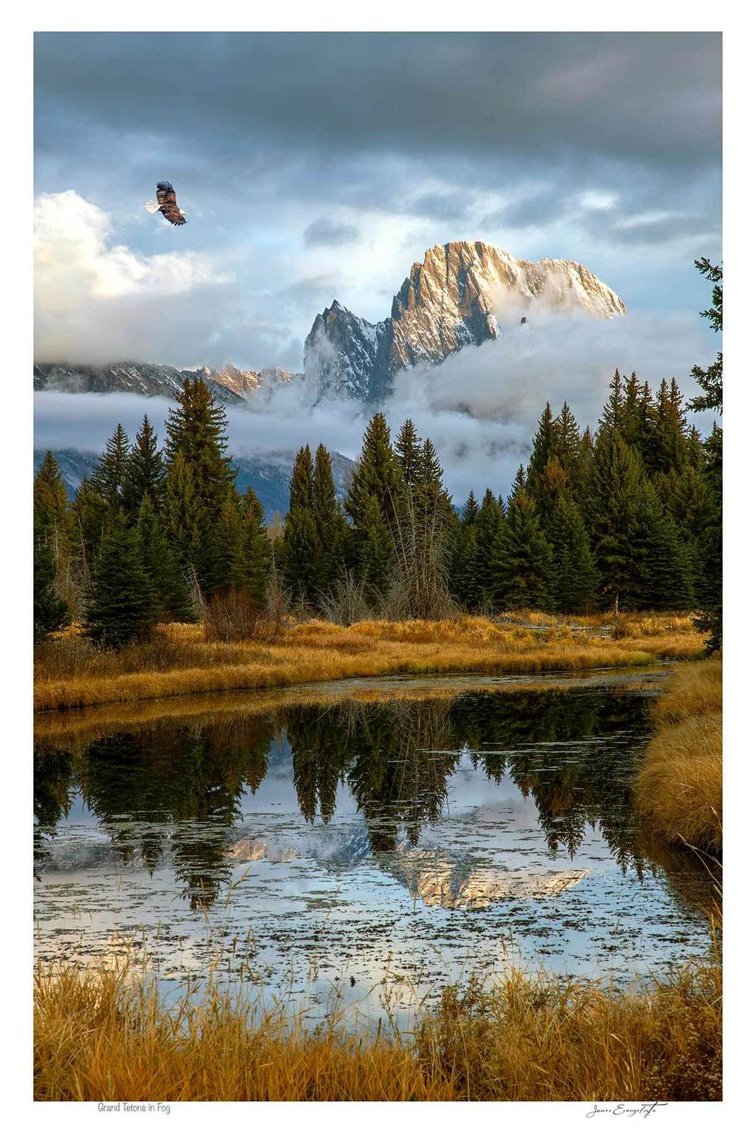 Grand Tetons in Fog