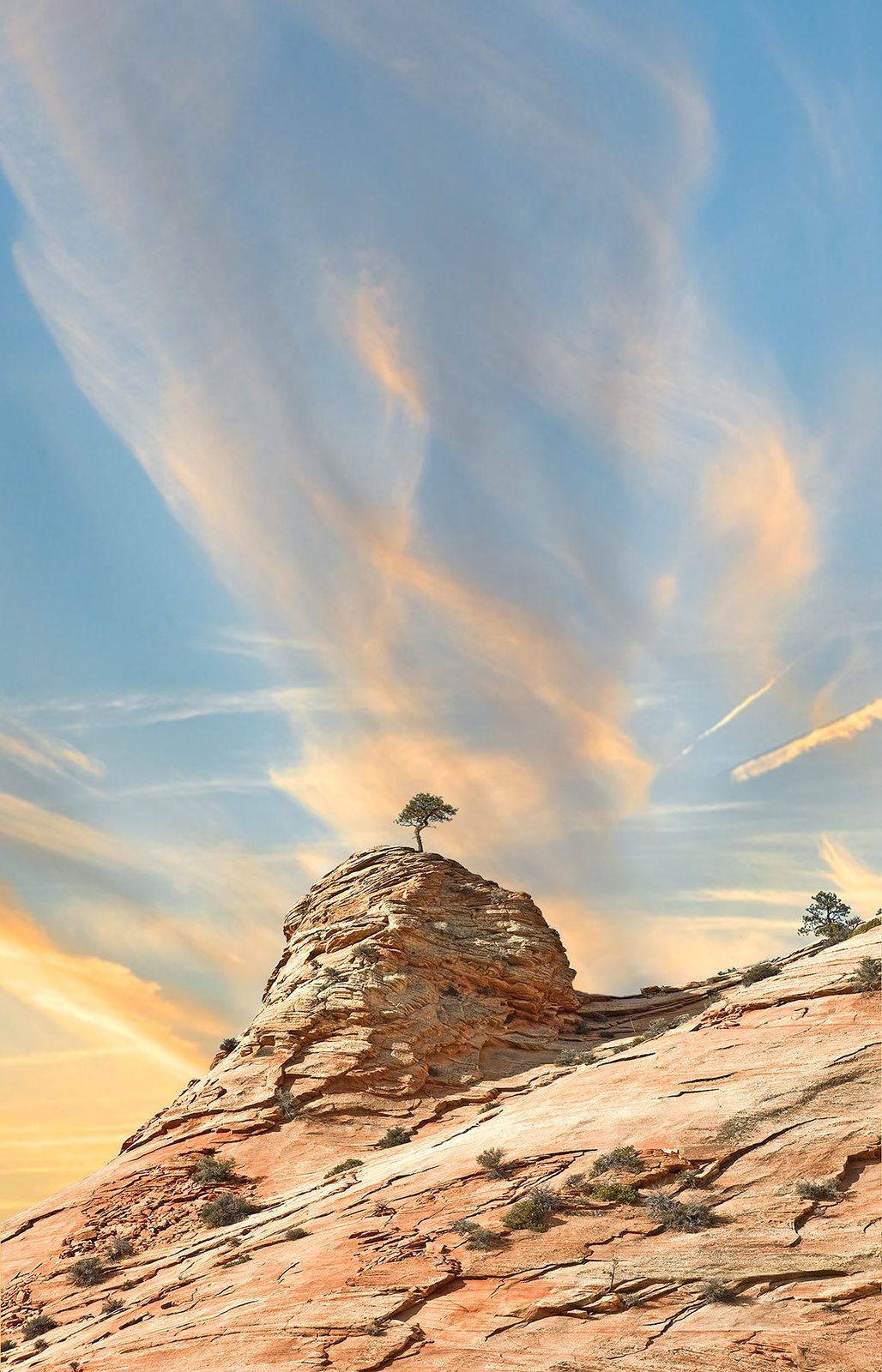 Lone Pine