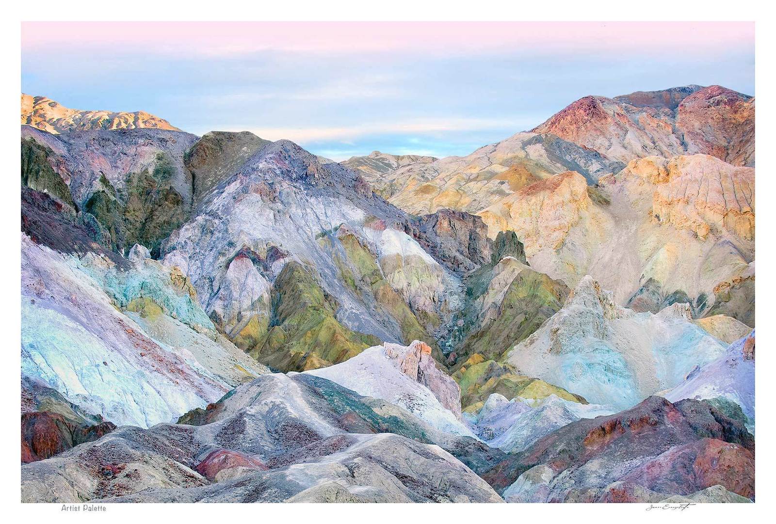 Artist Palette